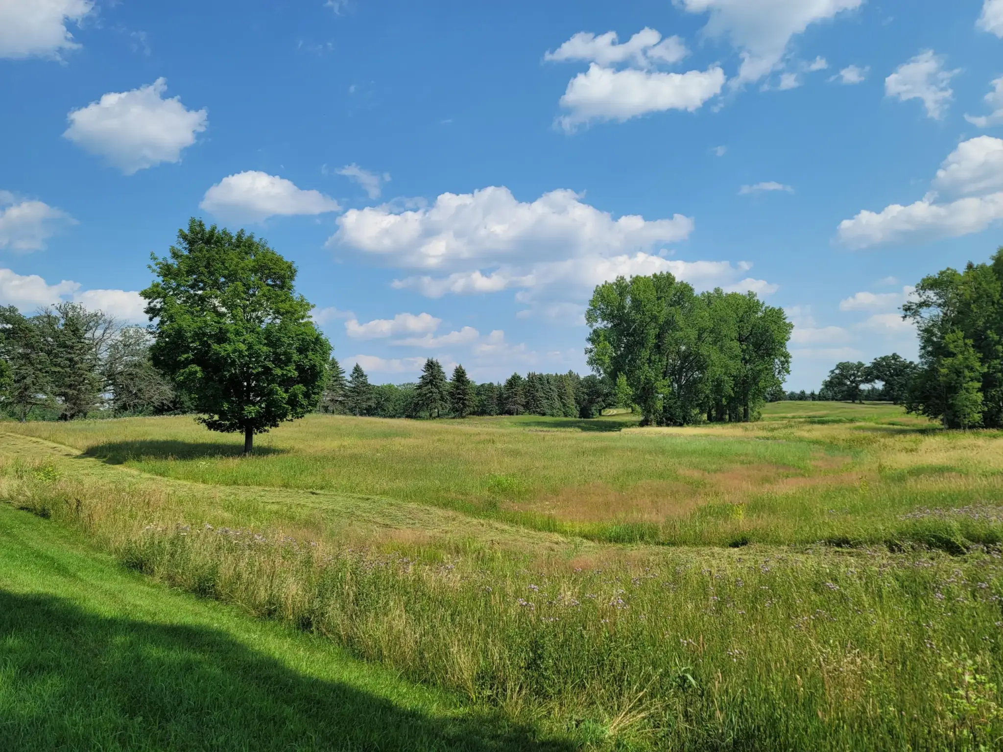 north-farm-condominium